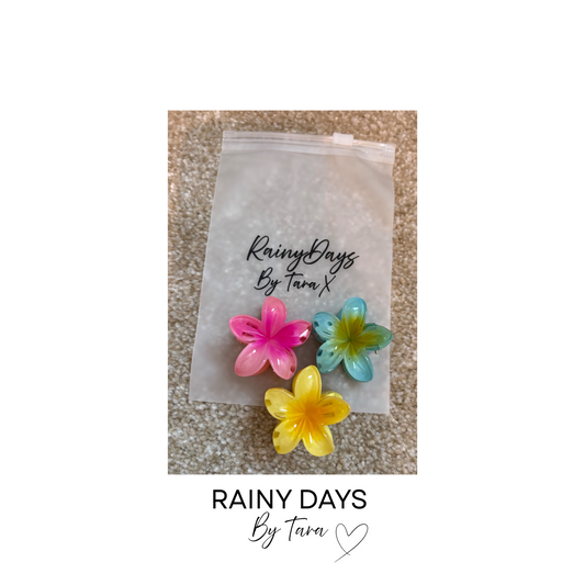 Multi Coloured Mini Flower Clips